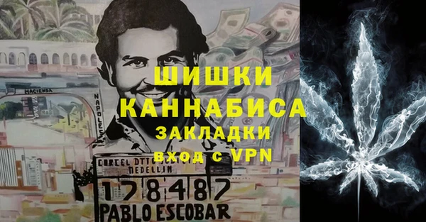крисы Алзамай