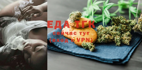 дмт Ельня